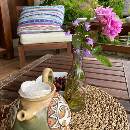 Na Kostelni Stezce Holiday home *